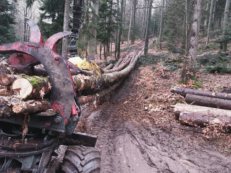 Rückeschlepper mit Langholz auf einer Rückegasse
