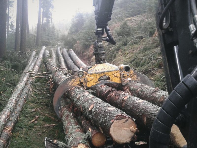 Greifer mit Langholzstämmen