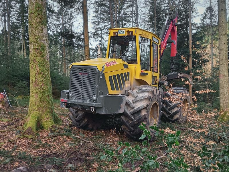 Forstmaschine mit Kran zwischen Bäumen im Wald